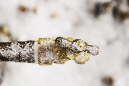 Exterior pipe covered with snow