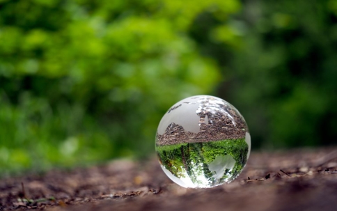 Glass model earth sitting on forest floor