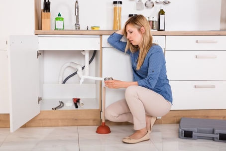 Woman looking at plunger